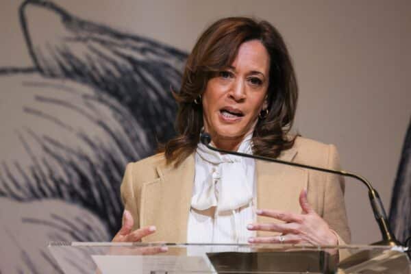 Kamala Harris returns to the attention center when Trump celebrates her first 100 days