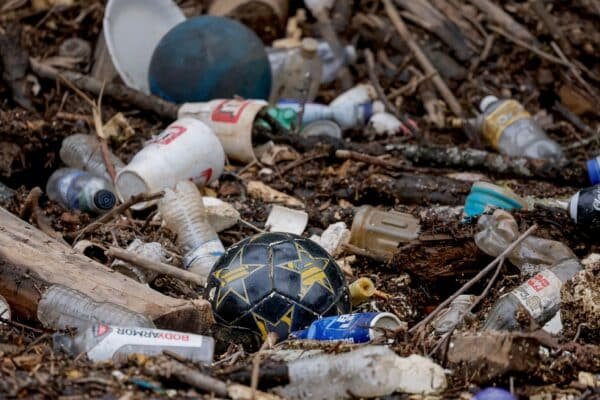 Trump's policies could affect the environment long after they leave office, some experts say