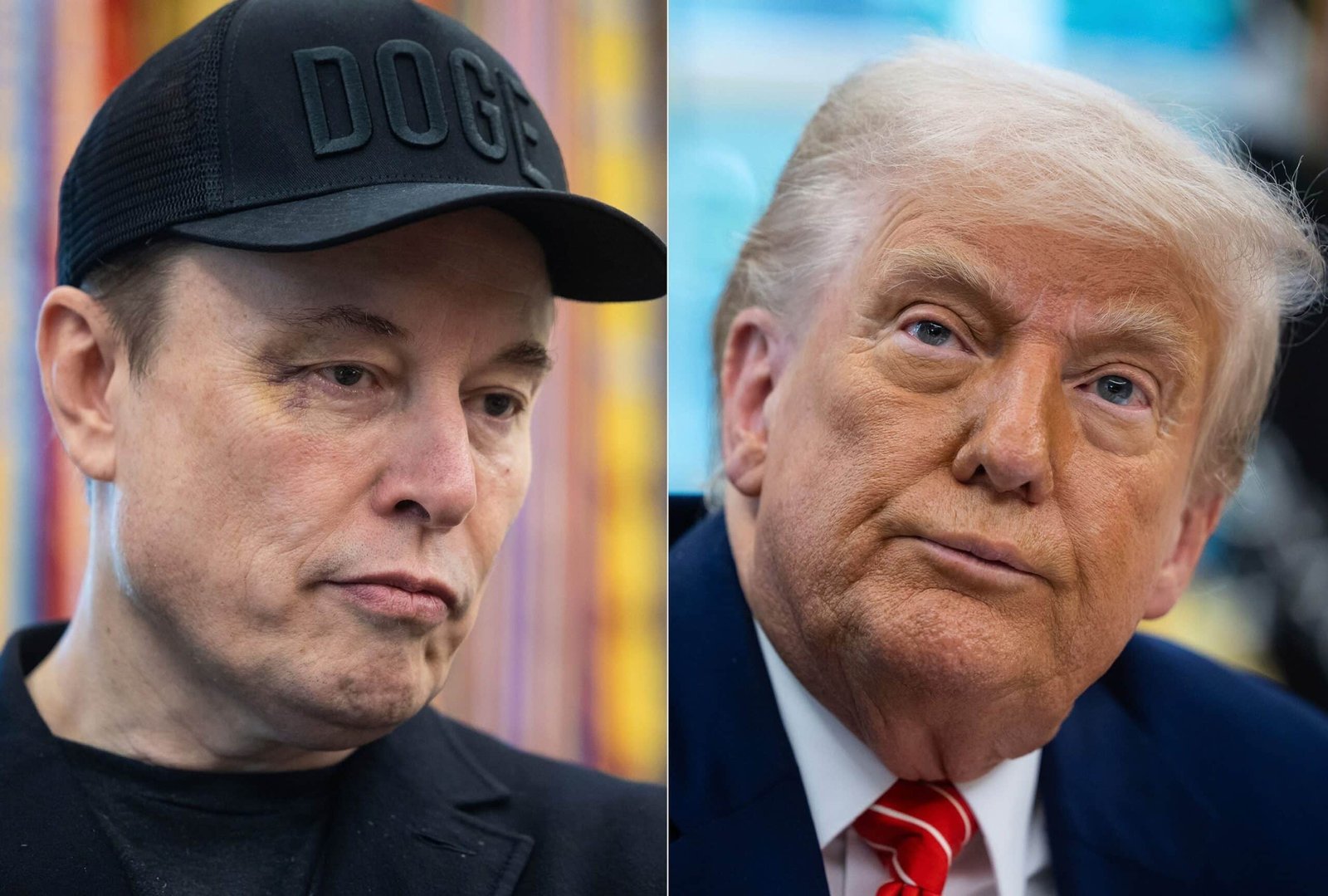 'Crazy': Trump and Musk Feud explode on social networks
