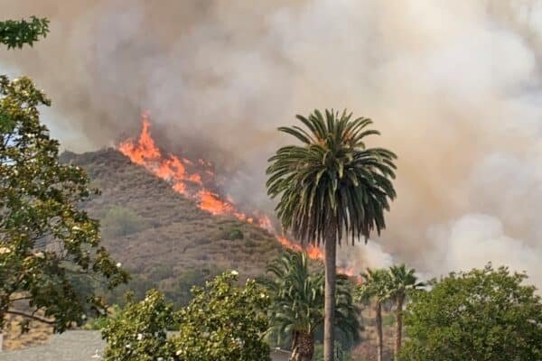Evacuation orders raised after the brush fire contained in Los Angeles County