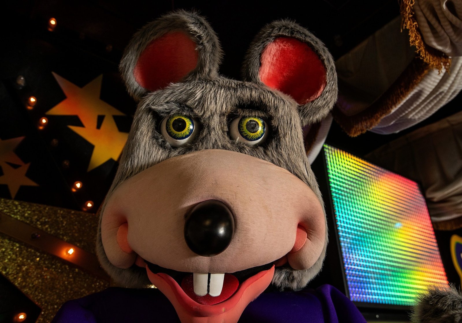 Photo: A Pet of Chuck E. Cheese in Tallahassee, Florida, with a costume as one that is shown here, was arrested on July 23, 2025, at work and accused of stealing a client's debit card, according to a police report.