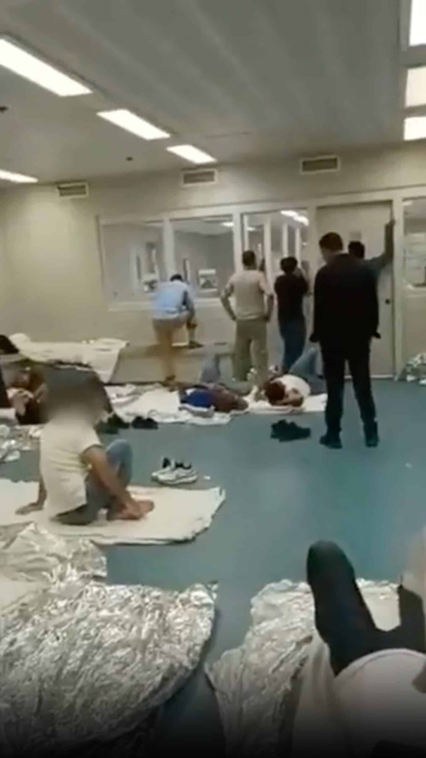 'Like dogs': The video seems to show migrants celebrated in federal construction in New York