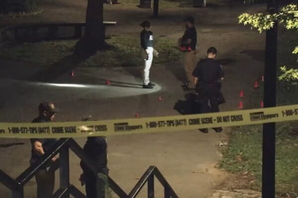 5 shots, 1 fatally, while multiple gunmen open fire in New York City Park: NYPD
