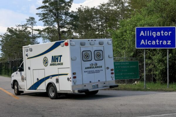 Democratic legislators demand information on 'Cocodrilo Alcatraz'