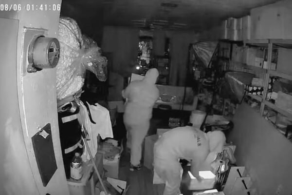 Thousands of dollars in stolen labubus as the popularity of the toy continues to increase